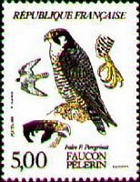 Faucon pélerin. Timbre France. Cliquer pour agrandir l'image.