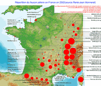 Faucon pélerin. Répartition en France. Cliquer pour agrandir l'image.