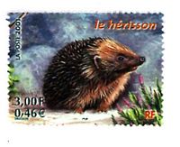 Hérisson d'Europe. Timbre. Cliquer pour agrandir l'image.