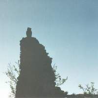 Hibou grand-duc. Attitude. Cliquer pour agrandir l'image.