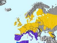 Locustelle tachetée. Répartition. Cliquer pour agrandir l'image.