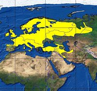 Martre des pins. Répartition. Cliquer pour agrandir l'image.