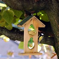 Mésange charbonnière. Jardin, Chamalières. Cliquer pour agrandir l'image.