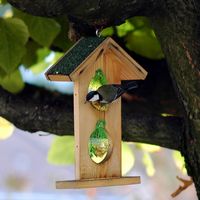 Mésange charbonnière. Jardin, Chamalières. Cliquer pour agrandir l'image.