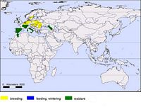 Milan royal. Répartition mondiale. Cliquer pour agrandir l'image.