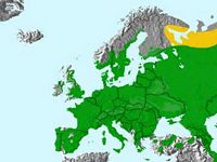 Moineau friquet. Répartition. Cliquer pour agrandir l'image.