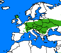 Moiré sylvicole. Répartition. Cliquer pour agrandir l'image.