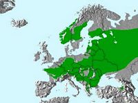 Pic cendré. Carte de répartition du pic cendré. Cliquer pour agrandir l'image.