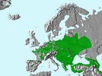 Pic mar. Répartition. Cliquer pour agrandir l'image.