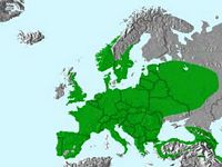 Pic vert. Répartition. Cliquer pour agrandir l'image.