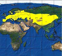 Putois d'Europe. Répartition. Cliquer pour agrandir l'image.