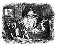 Le rat noir ou rat des champs. Dessin. Cliquer pour agrandir l'image.