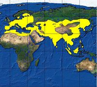 Sanglier. Répartition. Cliquer pour agrandir l'image.