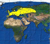 Taupe d'Europe. Répartition. Cliquer pour agrandir l'image.