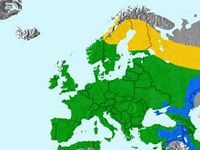 Verdier d'Europe. Répartition du verdier d'Europe. Cliquer pour agrandir l'image.
