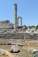Le site de Didymes en Anatolie. Colonne non cannelée du côté nord du temple. Cliquer pour agrandir l'image dans Adobe Stock (nouvel onglet).
