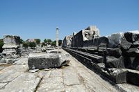 Le site de Didymes en Anatolie. La façade sud-ouest du temple. Cliquer pour agrandir l'image dans Adobe Stock (nouvel onglet).