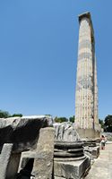 Le site de Didymes en Anatolie. Deux colonnes encore debout. Cliquer pour agrandir l'image dans Adobe Stock (nouvel onglet).