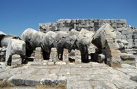 Le site de Didymes en Anatolie. Colonne écroulée. Cliquer pour agrandir l'image dans Adobe Stock (nouvel onglet).