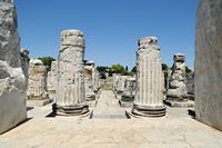 Le site de Didymes en Anatolie. Le pronaos du temple. Cliquer pour agrandir l'image dans Adobe Stock (nouvel onglet).
