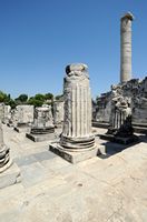Le site de Didymes en Anatolie. Le pronaos du temple. Cliquer pour agrandir l'image dans Adobe Stock (nouvel onglet).