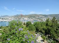 Le musée d'archéologie sous-marine de Bodrum en Anatolie. Les jardins de la cour inférieure. Cliquer pour agrandir l'image dans Adobe Stock (nouvel onglet).
