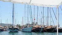 La ville de Bodrum en Anatolie. Bateaux de type « gulet ». Cliquer pour agrandir l'image dans Adobe Stock (nouvel onglet).