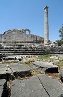 Le site de Didymes en Anatolie. Le péristyle côté sud-est. Cliquer pour agrandir l'image.