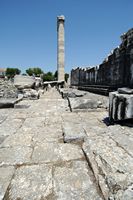 Le site de Didymes en Anatolie. La façade sud-ouest du temple. Cliquer pour agrandir l'image.