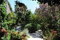Le site archéologique d'Héraclée en Anatolie. Le jardin de la pension Karia. Cliquer pour agrandir l'image.