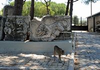 Le site archéologique de Milet en Anatolie. Frise au lion au musée de Milet. Cliquer pour agrandir l'image.