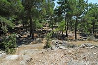 Le site archéologique de Priène en Anatolie. Le marché antique. Cliquer pour agrandir l'image.