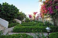 L'hôtel Salmakis à Bodrum en Anatolie. Jardins. Cliquer pour agrandir l'image.