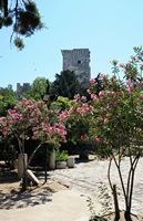 Le musée d'archéologie sous-marine de Bodrum en Anatolie. Exposition de monnaies dans le tour d'Italie. Cliquer pour agrandir l'image.