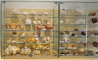Le musée maritime de Bodrum en Anatolie. Collection de coquillages. Cliquer pour agrandir l'image.