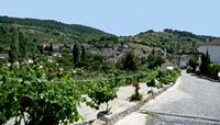 La ville de Selçuk en Anatolie. Le village de Sirince (auteur Charles Kremenak). Cliquer pour agrandir l'image.