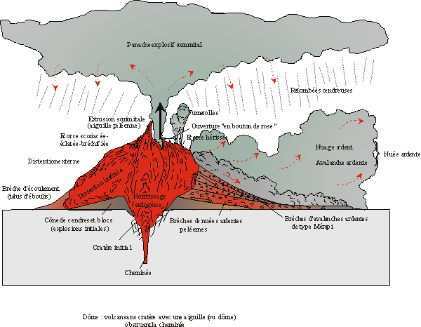 Coupe de l'éruption d'un volcan péléen. Cliquer pour agrandir l'image. Coupe de l'éruption d'un volcan péléen. Cliquer pour agrandir l'image.