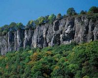 Basalte. Bort-les-Orgues. Cliquer pour agrandir l'image.