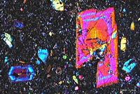 Basalte. Clinopyroxène zoné en LPA. Cliquer pour agrandir l'image.