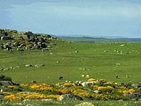 Basalte. Moraines de basalte. Cliquer pour agrandir l'image.