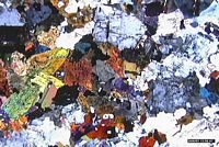 Gabbro. Gabbro en LPA. Cliquer pour agrandir l'image.