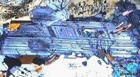 Gabbro. Plagioclase en lpa. Cliquer pour agrandir l'image.