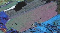 Gabbro. Biotite en lpa. Cliquer pour agrandir l'image.