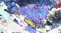 Gabbro. Amphibole en lpa. Cliquer pour agrandir l'image.