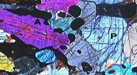 Gabbro. Pyroxene et amphibole en lpa. Cliquer pour agrandir l'image.