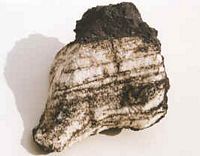 Gneiss. Enclave dans bombe. Cliquer pour agrandir l'image.
