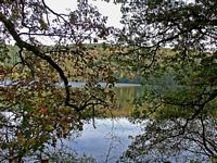 Gour de Tazenat. En été. Cliquer pour agrandir l'image.