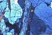 Granite. Plagioclase. Cliquer pour agrandir l'image.