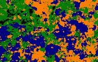 Granite. Plagioclase. Cliquer pour agrandir l'image.