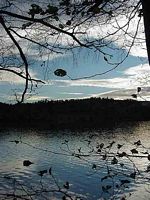 Lac d'Aydat. Feuillage. Cliquer pour agrandir l'image.